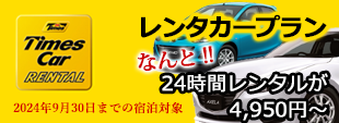 タイムズレンタカープラン